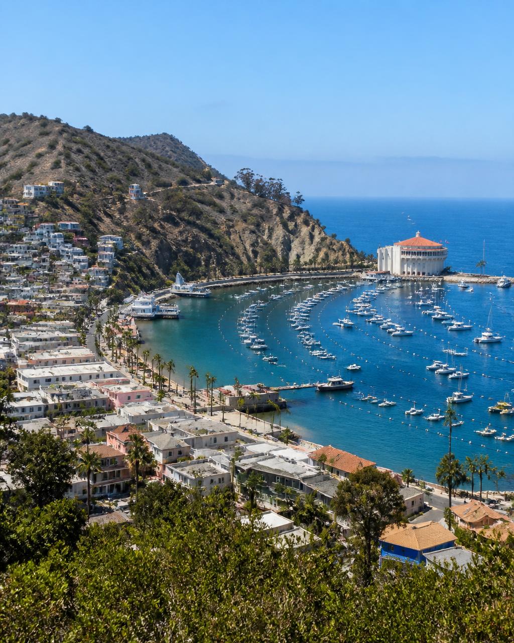 Catalina Island Adventure